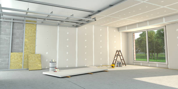 Best Insulation Removal  in Dixmoor, IL