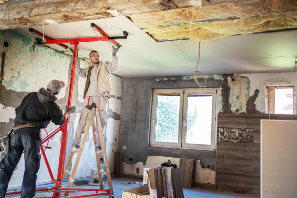 Best Insulation Removal  in Dixmoor, IL