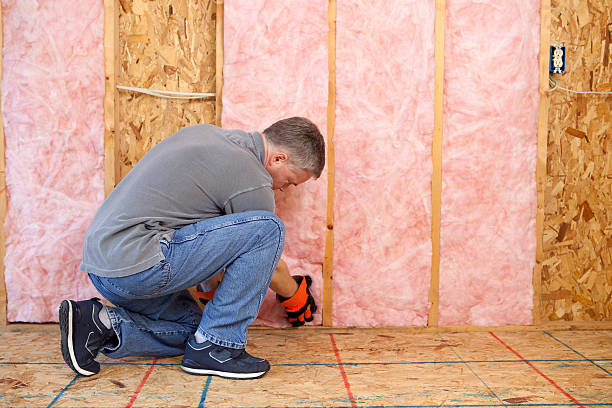 Best Professional Insulation Contractor  in Dixmoor, IL