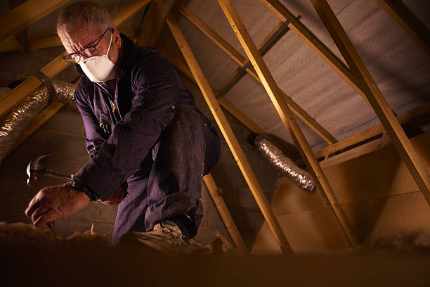 Best Attic Insulation Near Me  in Dixmoor, IL